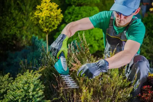 landscaping services McClure